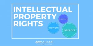 Intellectual Property Rights Overview