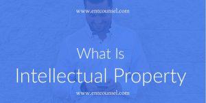 What Are Intellectual Property Rights